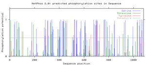 Predicted phosphorylated sites found within the FAM214A protein FAM214A Post-Translational Phosphorylation Predictions.gif