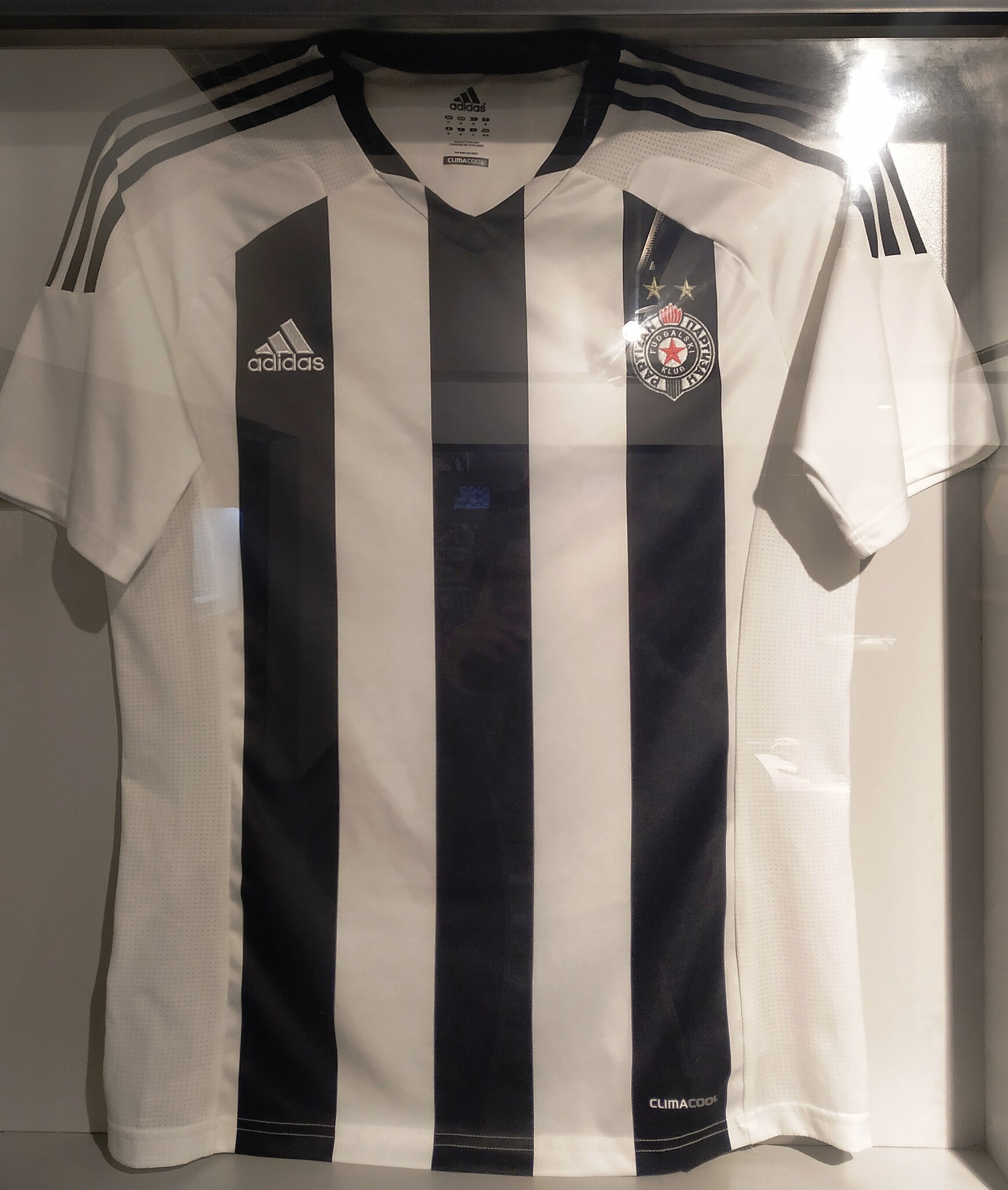 FK Partizan, FK Partizan, Visão Geral