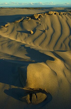 Farewell Spit sand dunes.jpg