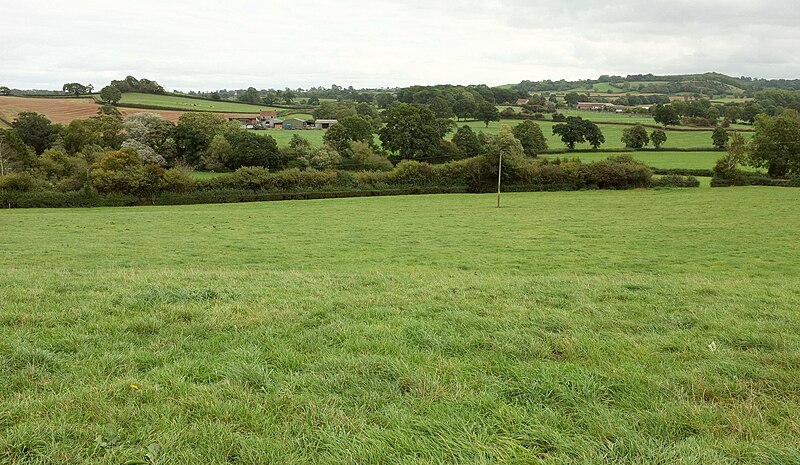 File:Farmland at Newtown - geograph.org.uk - 5993901.jpg