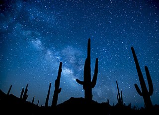 <span class="mw-page-title-main">Sonoran Desert National Monument</span> Protected area in Arizona