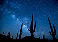 February -conservationlands15 Social Media Takeover- Top 15 Places on National Conservation Lands for Night Sky Viewing (16358796247).jpg