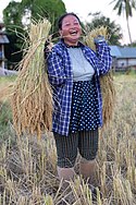 Female harvester laughing while carrying two heavy sheaves of rice in Laos.jpg