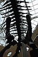 Fernbank Museum - Atlanta - Flickr - hyku (14).jpg