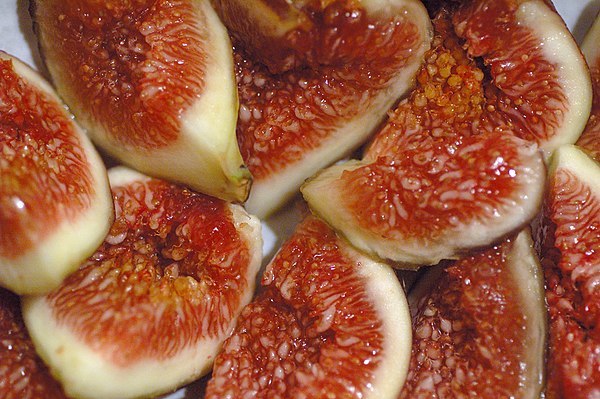 Figs, one of the most frequently mentioned fruits in the Bible.