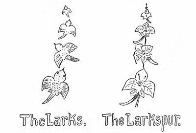 The Larks. The Larkspur.