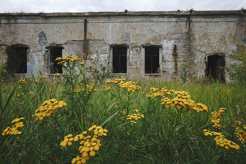 File:Fort Obruchev 2020-08-01-7.jpg