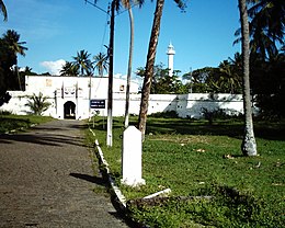 Tamandaré - Voir