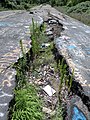 Part of the abandoned highway.