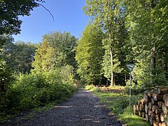 Naturschutzgebiet am Wanderparkplatz Mul