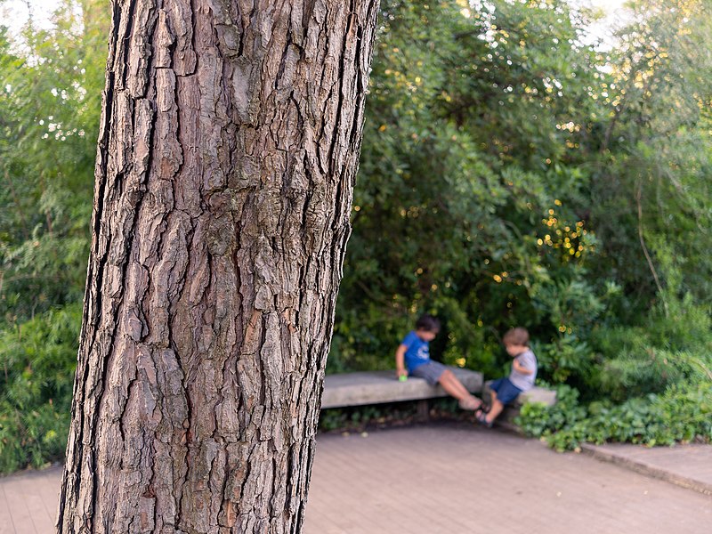 File:Gabriel with his cousin at Gulbenkian Park, Lisbon, Portugal (PPL1-Corrected) julesvernex2.jpg