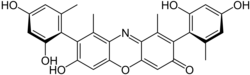 γ-Hydroxy-orcein