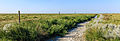 Gedeeltelijk drooggevallen slenk. Locatie, Noarderleech Provincie Friesland.