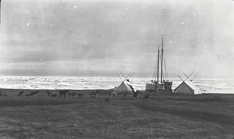 File:George Wilkins' camp on a beach near Cape Kellett (50858).jpg