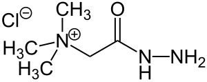 Hydrazide