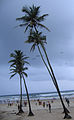 Goa - In a Goa beach on a stormy evening30.JPG