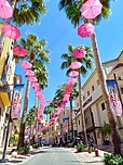 La Route Napoléon à Grasse, une rue vivante et commerçante.