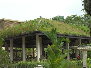 Singapore Botanic Gardens