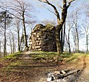 Großtöpfer - Greifenstein castle ruins - panoramio (detail 1) .jpg