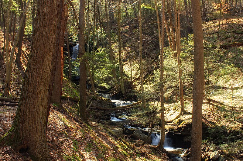 File:Hemlock Ravine (2) (13681794763).jpg