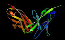X-ray crystallography structure of high affinity mutant hPDL2-hPD1 complex (1.986 A) reported in Tang and Kim, PNAS 2019. hPD-1: green/blue, hPD-L2: red/orange/yellow Highaffinity pdl2 pd1 tang kim.gif