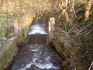 Hochspeyerbach near Weidenthal