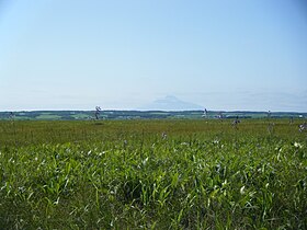 サロベツ原野