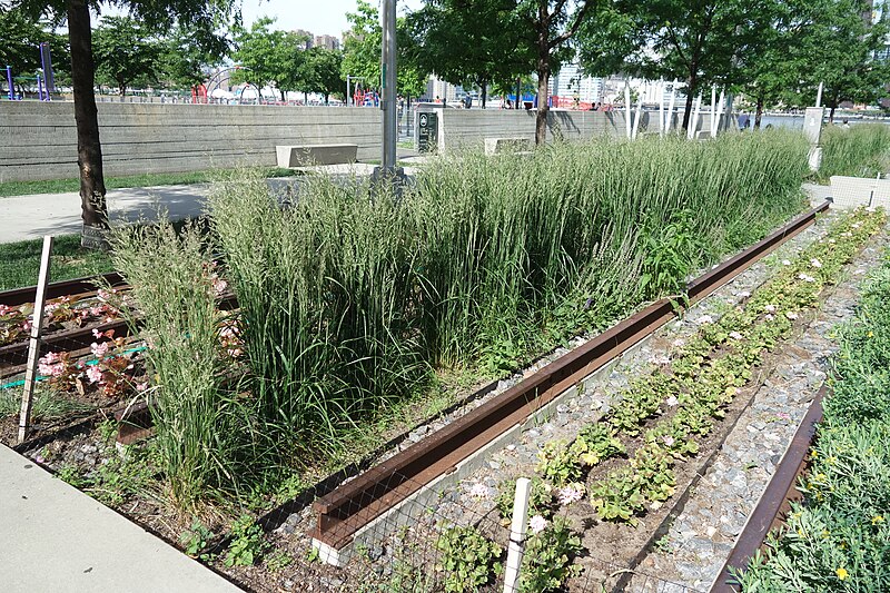 File:Hunters Point South Pk td (2019-06-08) 014 - Rail Garden.jpg