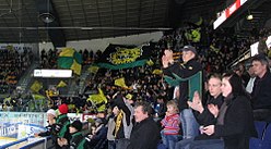 Tampereen Ilves (jääkiekko) – Wikipedia