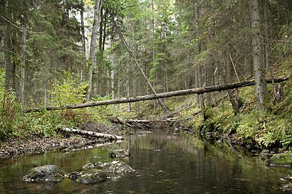 Kuidas ühistranspordiga sihtpunkti Jänijõgi jõuda - kohast