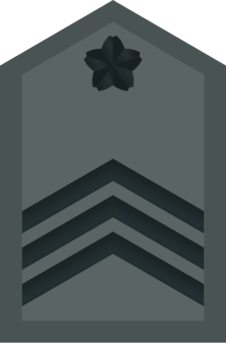 ไฟล์:JASDF_Master_Sergeant_insignia_(miniature).svg