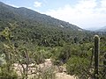 Parque Nacional La Campana, Chile