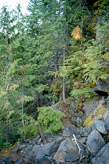 Kaslo and Slocan Railway