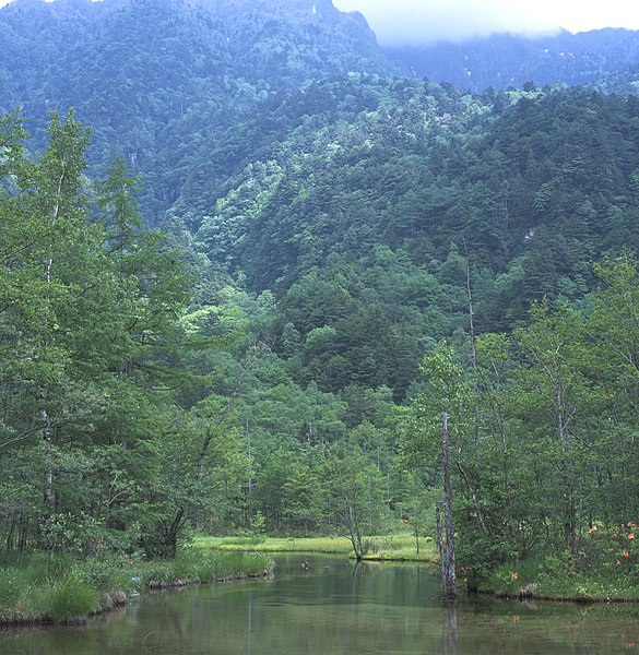 File:Kamikochi Marsh.jpg