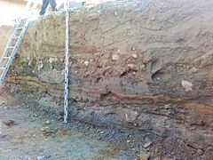 Udgravet væg i moræneler, i midten med stenhorisont og forneden med tynde okkerholdige sandlag.