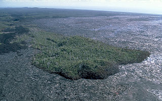 <span class="mw-page-title-main">Kīpuka</span> Area of land surrounded by one or more younger lava flows