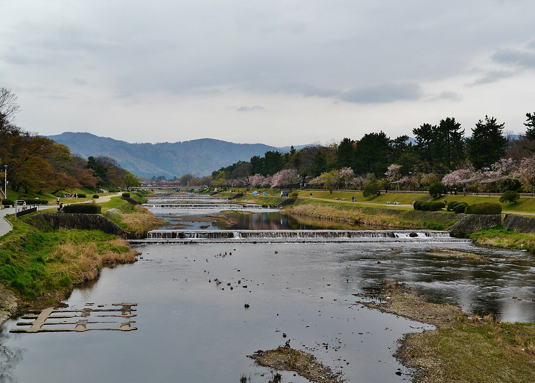 Kamojoki