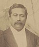 L. W. P. Kanealii (1893 crop).jpg