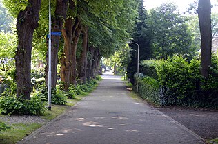 Lindenlaan hoek Torenweg