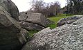 The ruined early neolithic tomb at Little Kit's Coty House. [62]