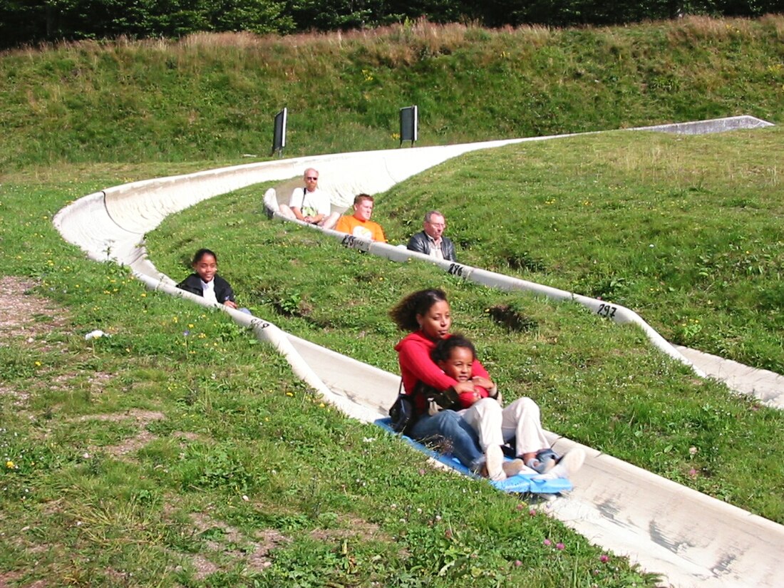 Luge d'été