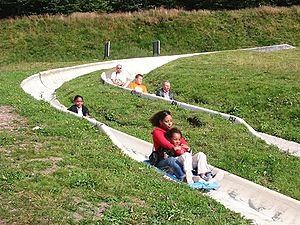 People participating in summer luge as a form ...