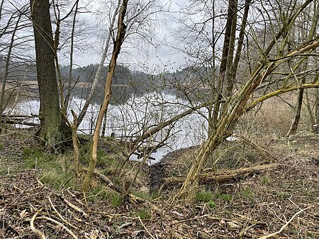 Müncheberg Gumnitz Blick nach Westen