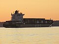 MSC Vidisha in Bellingham Bay