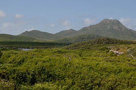 MT. CHRISTOFFEL В CHRISTOFFEL PARK.jpg