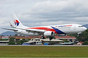 Malaysia Airlines: Frota, Acidentes em 2014, Outros acidentes