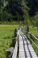 Naturlehrweg Feuchtwiesen-Steg