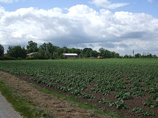 <span class="mw-page-title-main">Cotness</span> Hamlet in the East Riding of Yorkshire, England