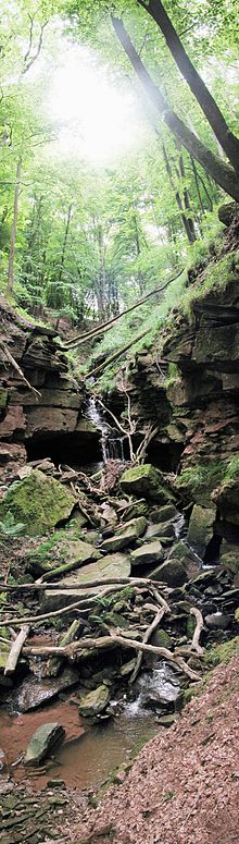 Die Margarethenschlucht liegt im Sandstein-Odenwald