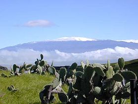 The summit of Mauna Kea